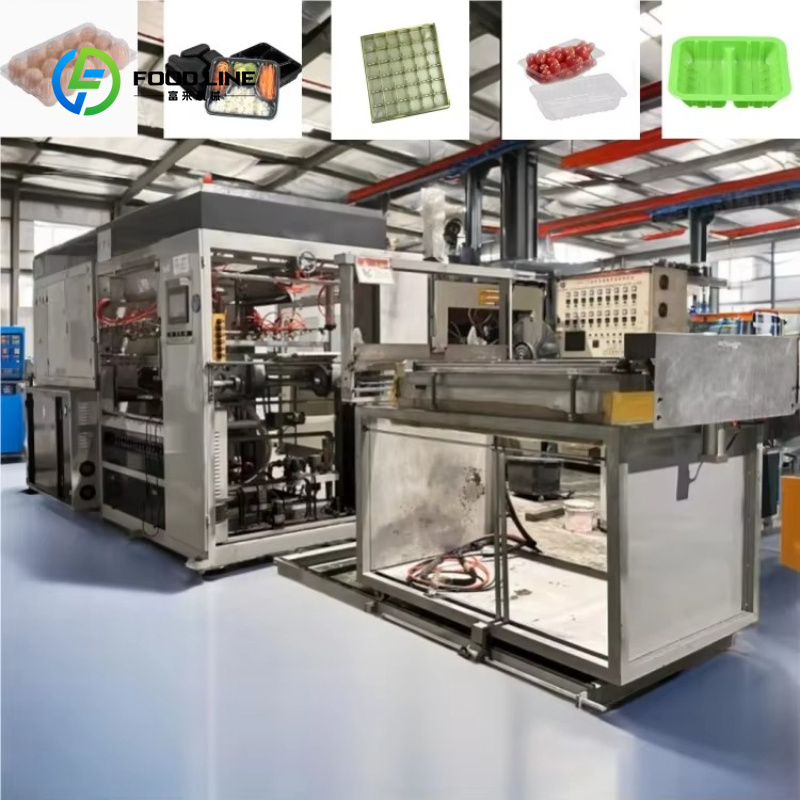 Food Storage Technology - Customized Automatic PVC/PET/PP Food Storage Containers