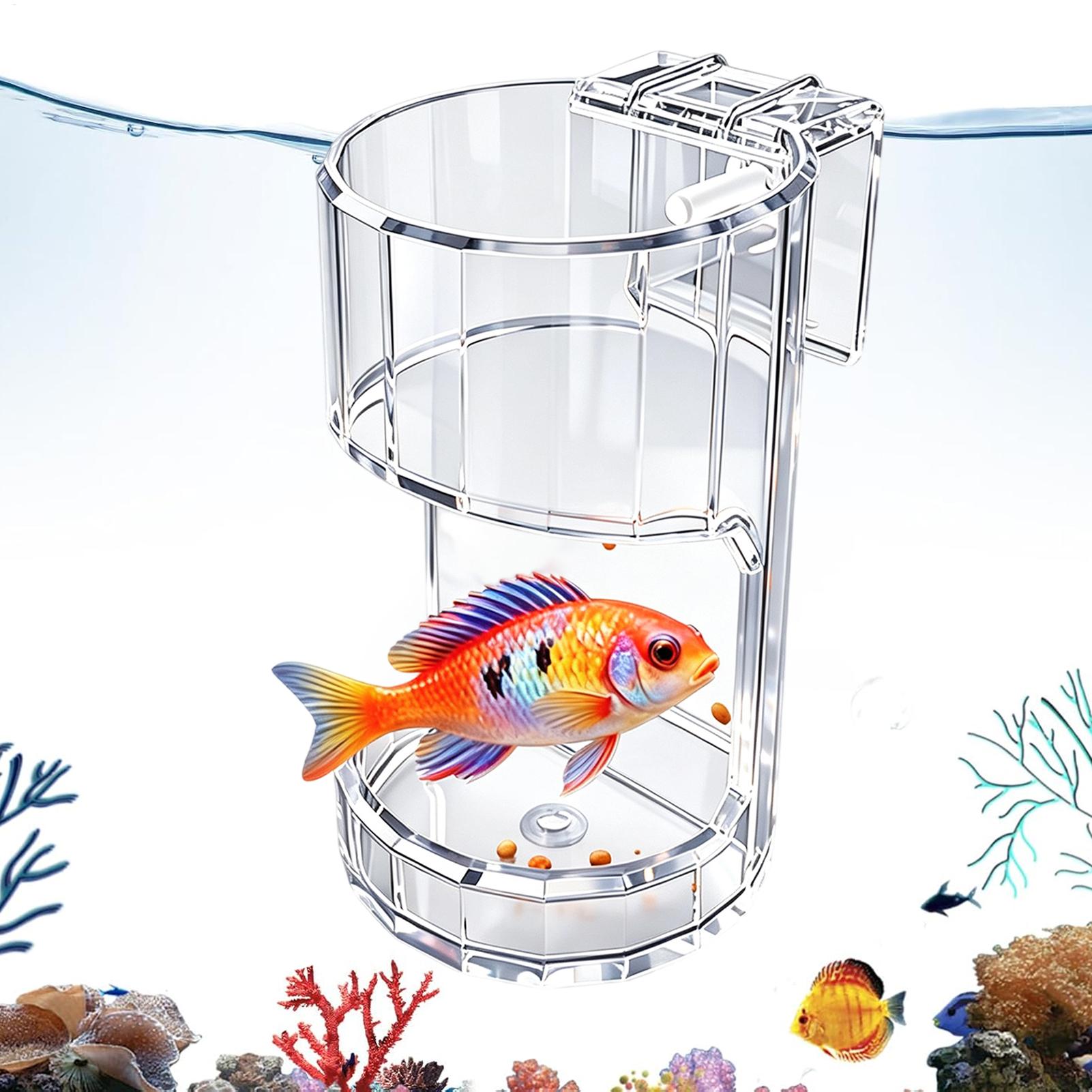 Food Storage Room - Aquarium Feeding Dish Transparent Food Bowl
