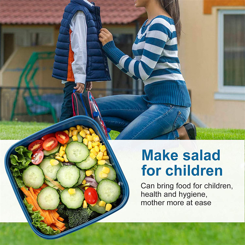 Di Động Salad Ăn Trưa Đựng Sal - đánh giá và giá Food Storage Drawer Organizer