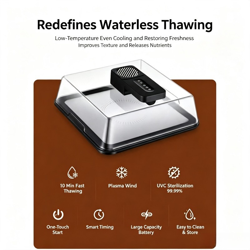 Type-C Charging Defrosting Box - đánh giá và giá Food Storage Frozen