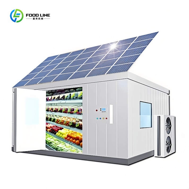 Commercial 20Ft Solar Freezer  - đánh giá và giá Food Storage Room